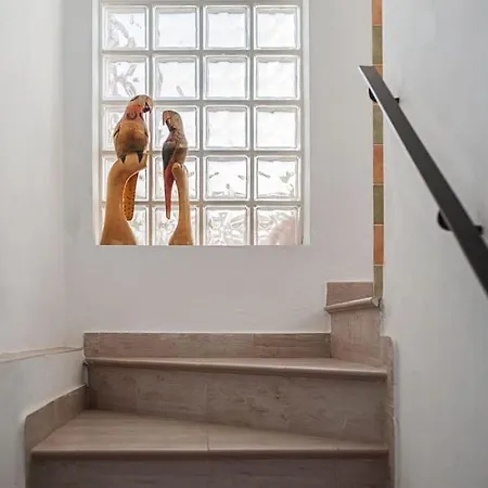 Duplex ático Con Mejores Vistas De Conil Appartamento Conil De La Frontera