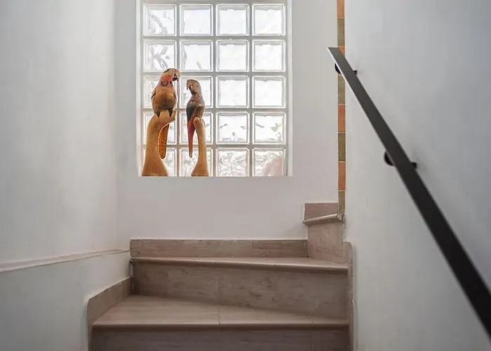 Duplex Atico Con Mejores Vistas De Conil Apartment Conil De La Frontera